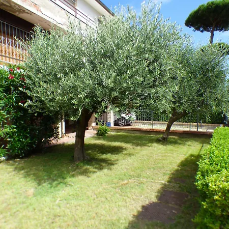 Girasoli 아파트 *